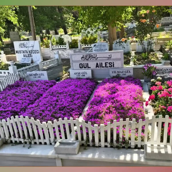 Çalışma 100
