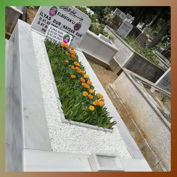 Çalışma 36