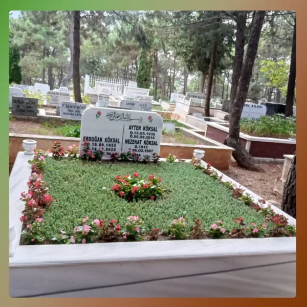 Çalışma 37