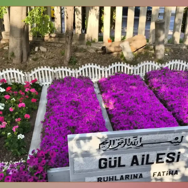Çalışma 99