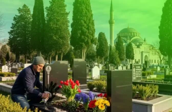 Eyüp Mezarlığı Mezar Bakım ve Çiçeklendirme