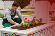 Merkezefendi Mezarlığı Mezar Bakım ve Çiçeklendirme Hizmetleri